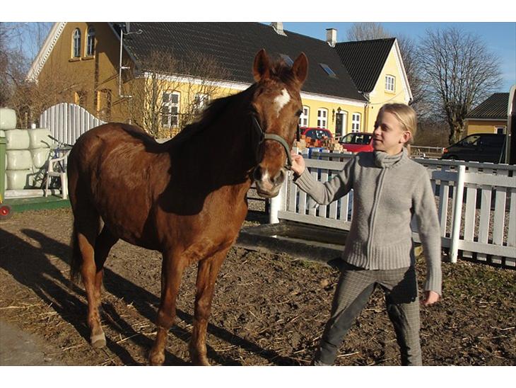 Anden særlig race Amanda  billede 1