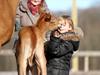 Arabisk fuldblod (OX) Wonderful Wanaya