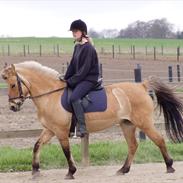 Anden særlig race beauty