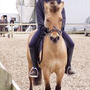 Anden særlig race beauty