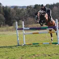 Anden særlig race Conan