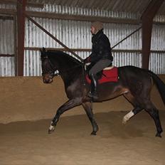 Anden særlig race Conan