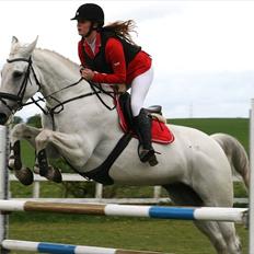 Anden særlig race Tibbury
