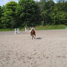 Anden særlig race Frk. Smilla