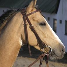 Paint Katies Prescription <3 himmel hest <3 