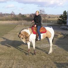 Paint Katies Prescription <3 himmel hest <3 