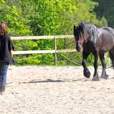 Frieser Kamma af Lysholm Solgt 