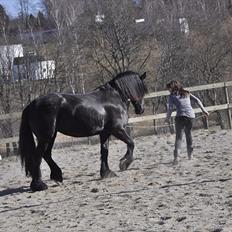 Frieser Kamma af Lysholm Solgt 