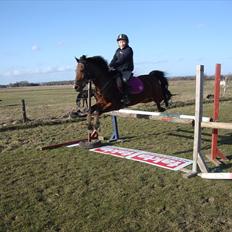 Anden særlig race Toftegårdens Kimbo