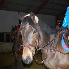 Irsk Hunter Parker Coin