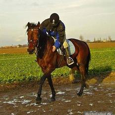 Traver Gudde P (RIP)