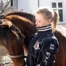 Anden særlig race Christiansejes Peanut