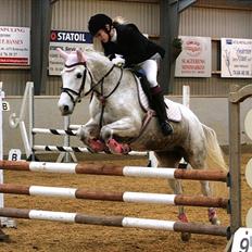 Anden særlig race Laura min prinsesse:) solgt