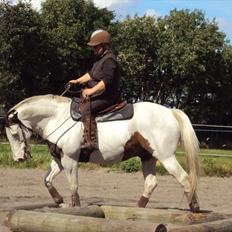 Paint JJ Mr Left White