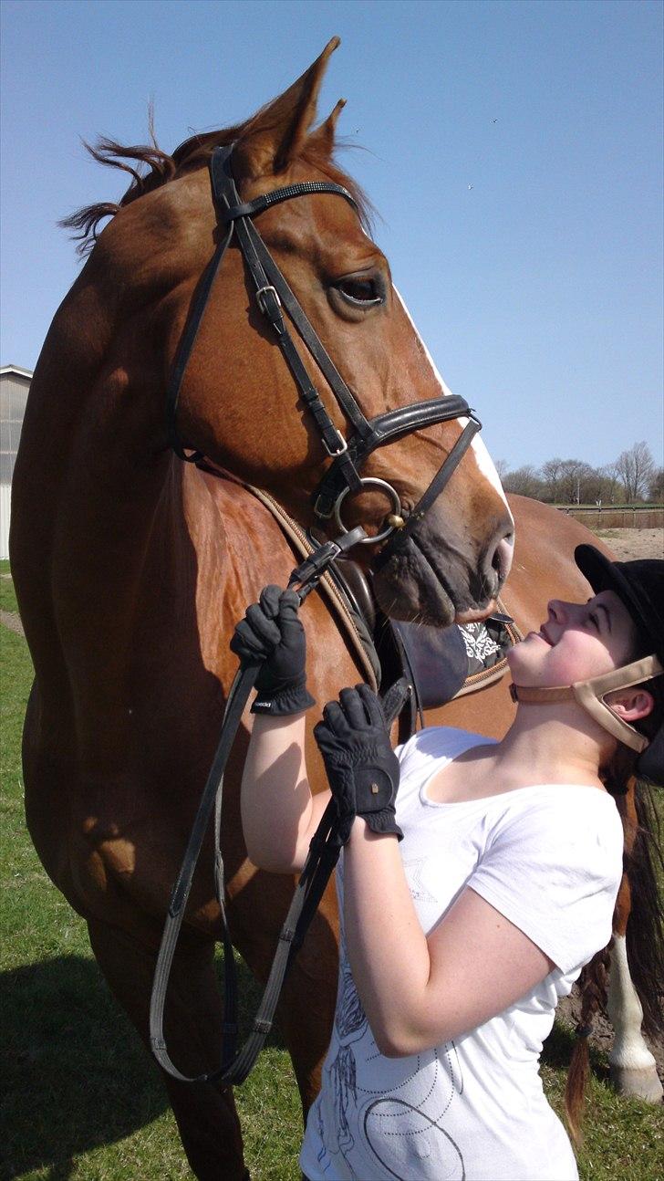 Anden særlig race Cosmo - 1// Arrrhh :D Cosmo!!  billede 1