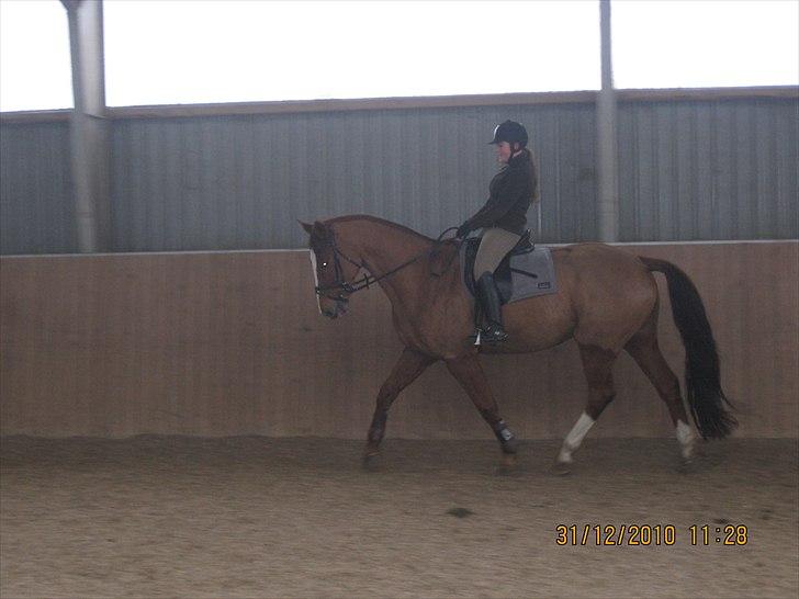 Anden særlig race Cosmo - 2// Jaja, ved godt, at jeg sidder utrolig grimt.  billede 2