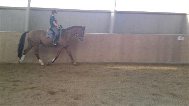 Anden særlig race Cosmo - 8// Ja, min opstilling er rædsom igen. billede 8