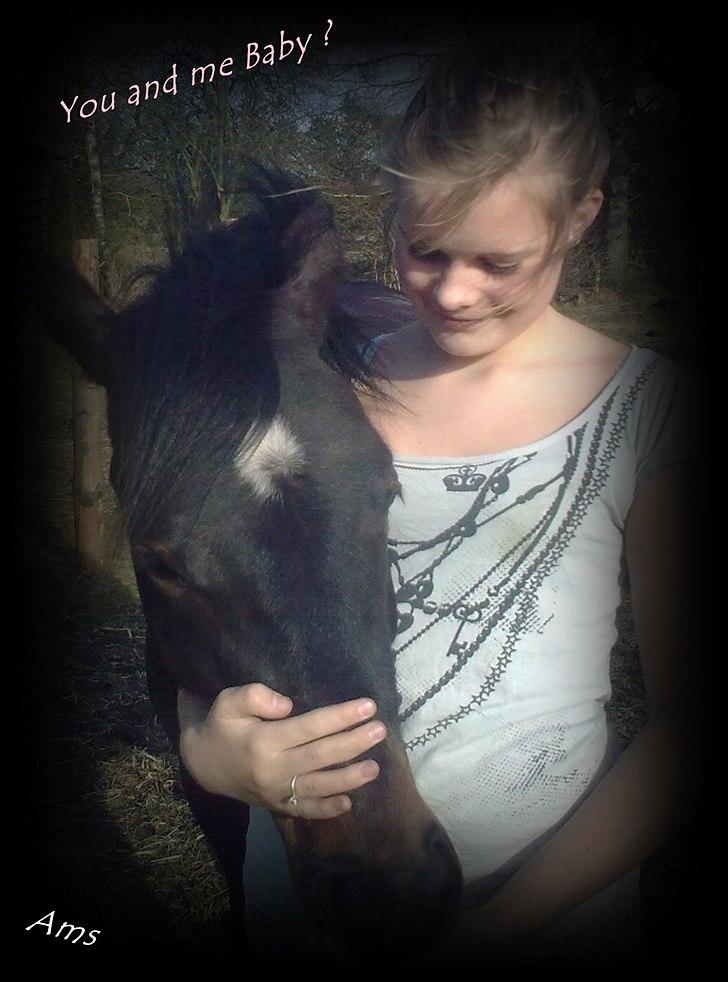 Anden særlig race Gamello Star***  billede 12