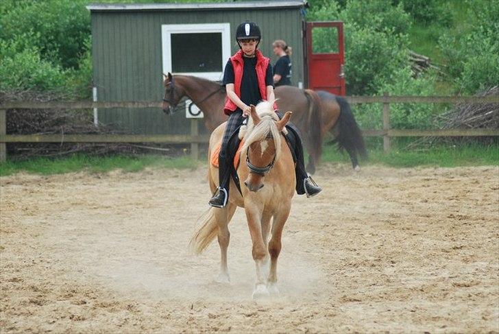 Anden særlig race Valentino <3 *Tino* | My Soulmate|<3 - <33 ! billede 7