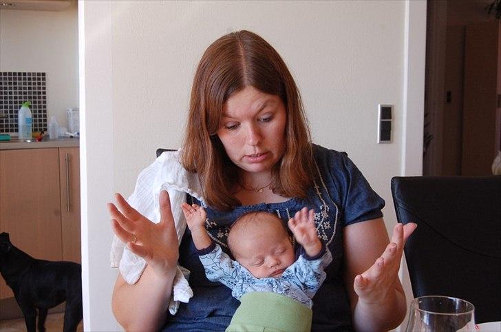 Traver Unique Møn *DØD 2/9-2008* billede 14