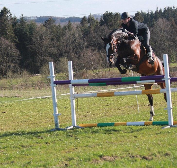 Anden særlig race Conan - Min lille baby <3 billede 1