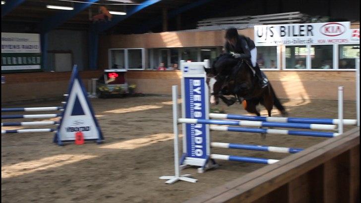 Anden særlig race Conan - <3 La** I Viborg :) billede 2