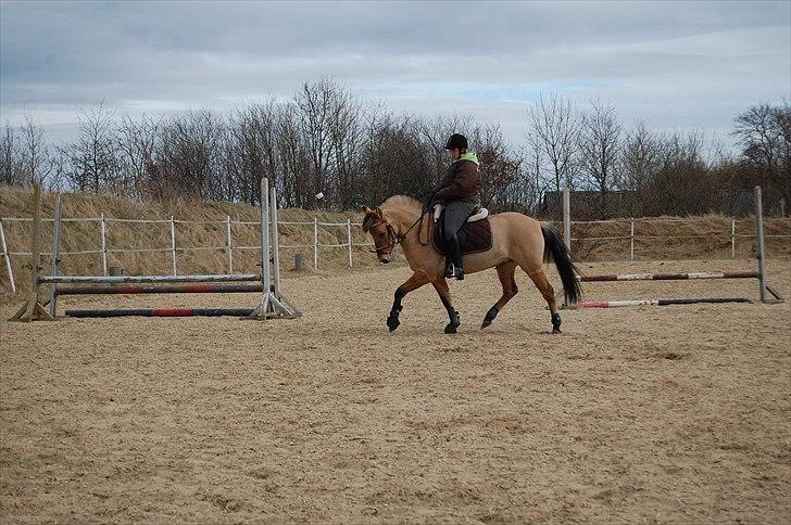 Anden særlig race Freja billede 11