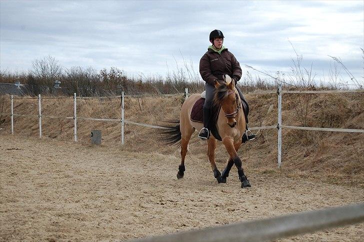 Anden særlig race Freja billede 13