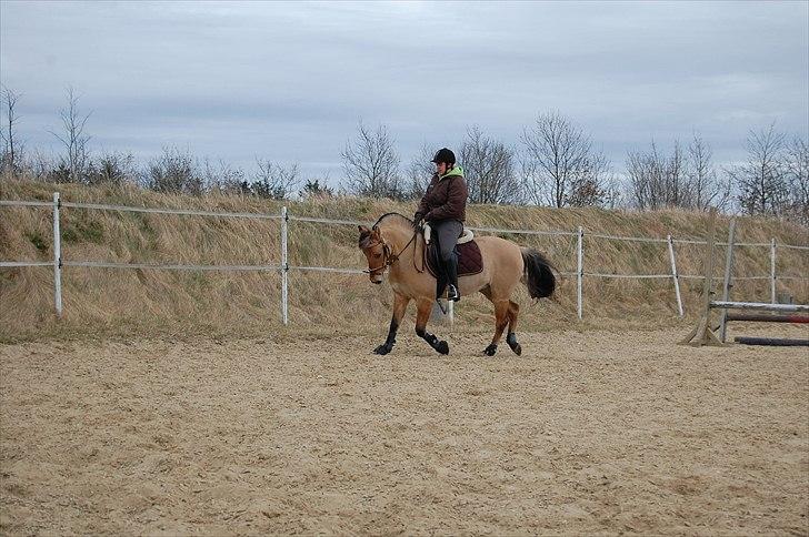 Anden særlig race Freja billede 16
