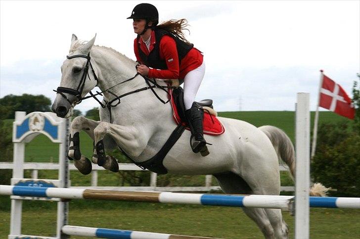 Anden særlig race Tibbury - - første stævne efter skade, derfor kun en LB :) billede 2