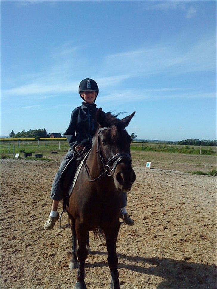 New Forest Lindholms Micky - Micky og Tina<3. billede 6