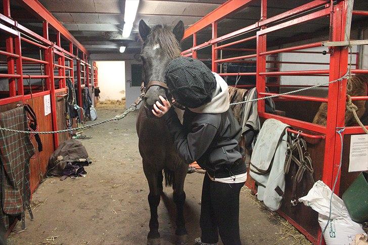 New Forest Lindholms Micky - Micky<3. billede 11