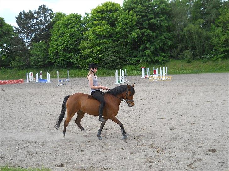 Anden særlig race Frk. Smilla - Dressur uden saddel :-) billede 6