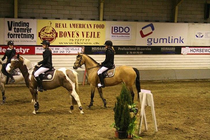 Connemara Loftsome Sandora - Præmie overakelse i Vejle ;) billede 10