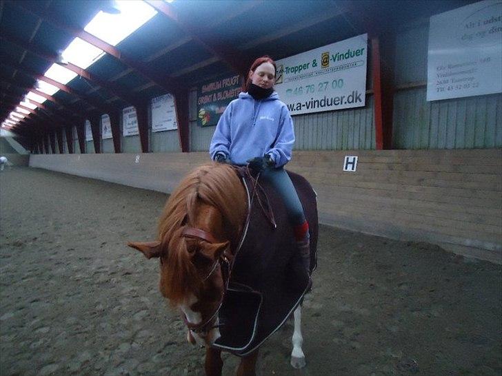 Palomino Destiny af dyrehavegård - Var ved at skridte af. Og BANG kom der et kamera forbi :D billede 7