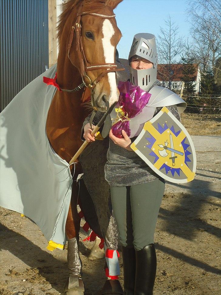 Palomino Destiny af dyrehavegård - havde lige redet ringridning :D billede 10