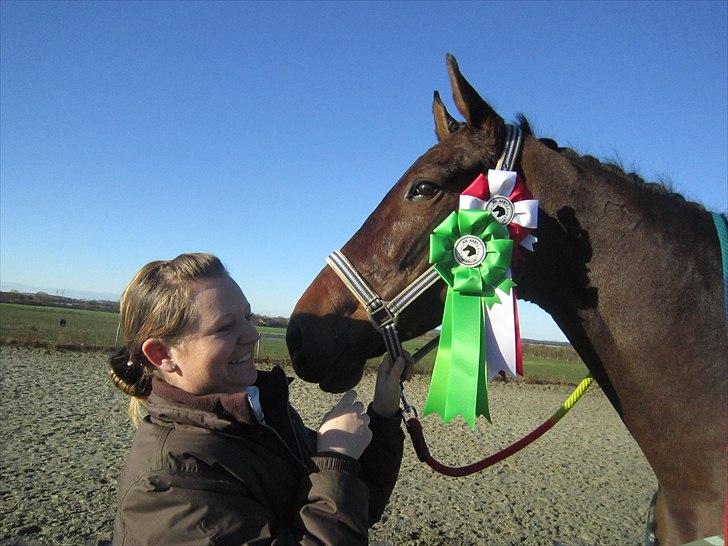 Dansk Varmblod Anja - solgt - C-stævne i nr. Åby LA 3 til 67 1. plads og LA 2 7. plads :D godt stævne :* billede 11