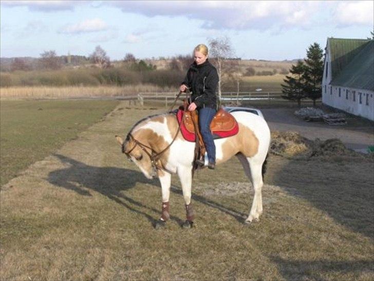 Paint Katies Prescription <3 himmel hest <3  billede 3