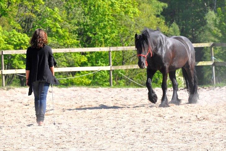 Frieser Kamma af Lysholm Solgt  - vi mødes på halvvejen.<3 [Minna<3] billede 1