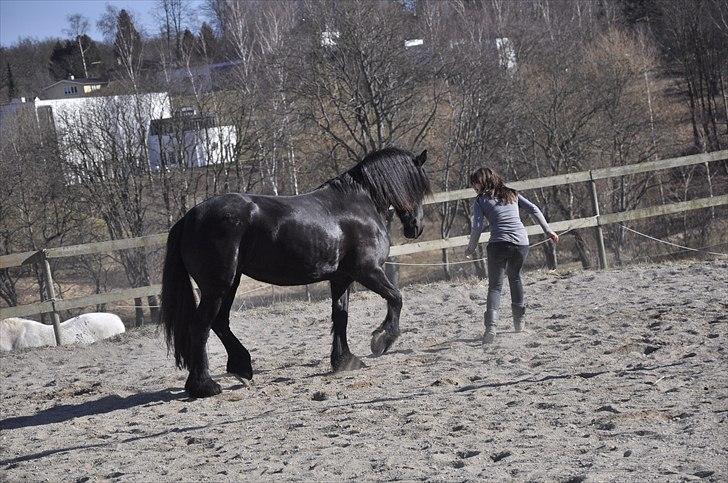 Frieser Kamma af Lysholm Solgt  - Vi leeeger<3 billede 3