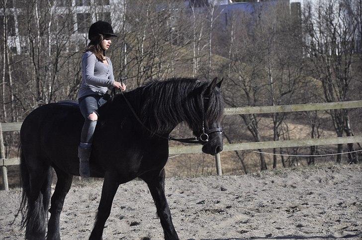 Frieser Kamma af Lysholm Solgt  billede 11