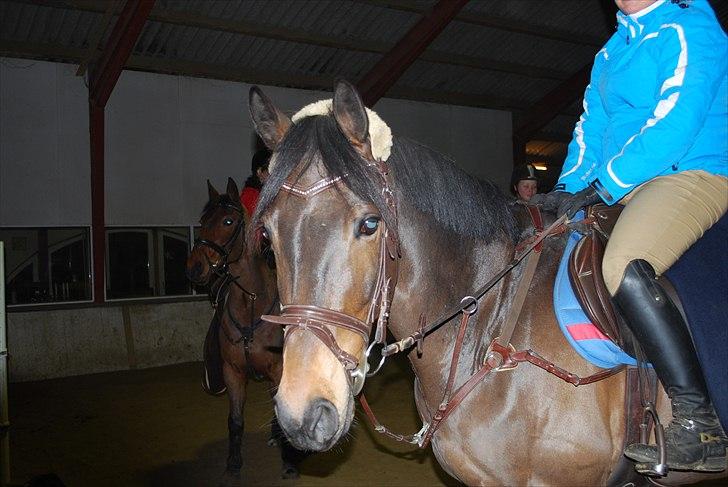 Irsk Hunter Parker Coin billede 1