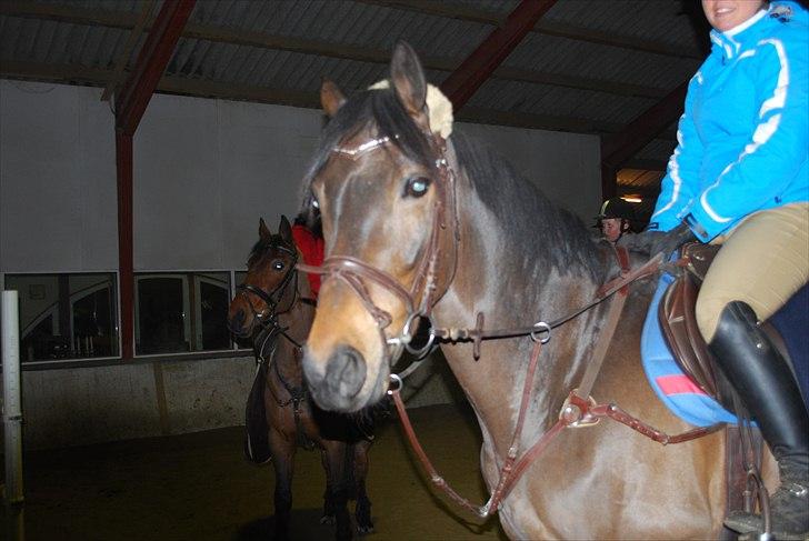 Irsk Hunter Parker Coin billede 2