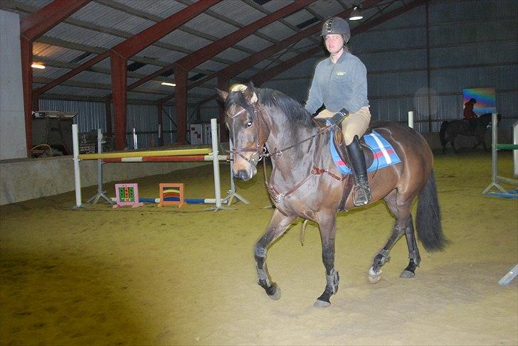 Irsk Hunter Parker Coin billede 3