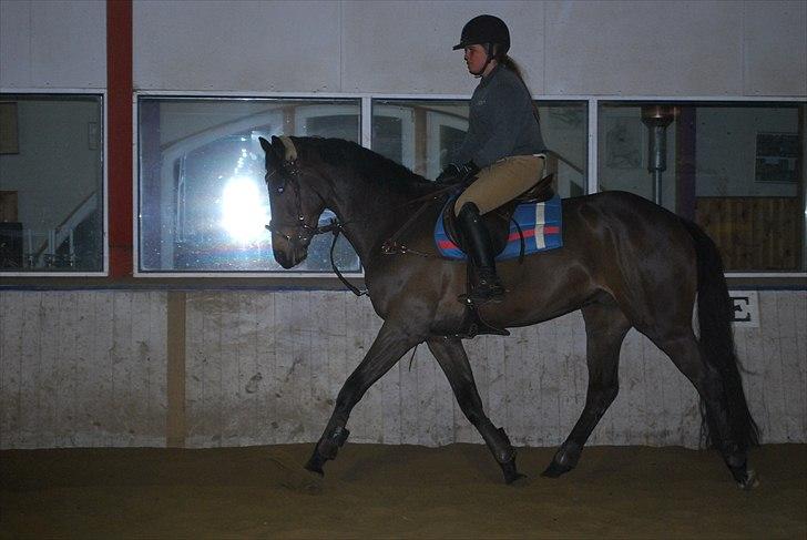 Irsk Hunter Parker Coin billede 4