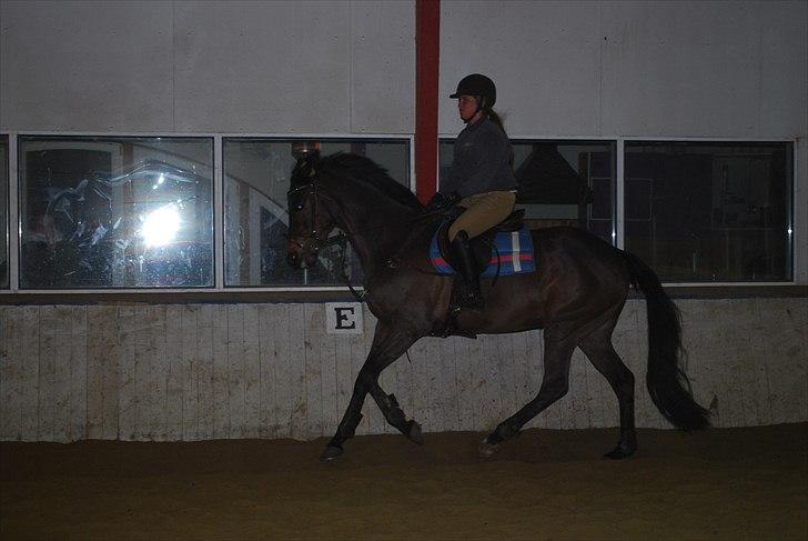 Irsk Hunter Parker Coin billede 5