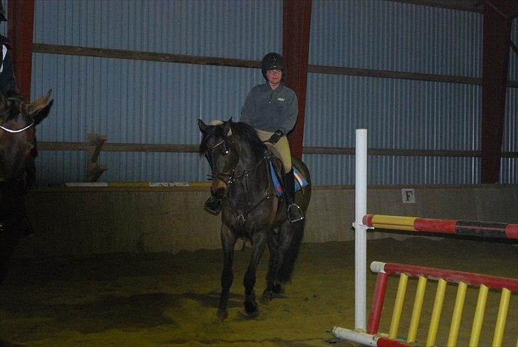 Irsk Hunter Parker Coin billede 6