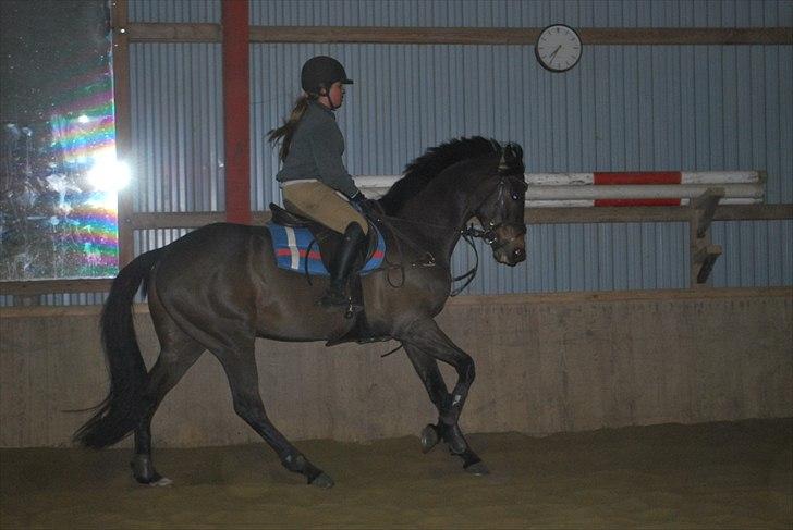 Irsk Hunter Parker Coin billede 8