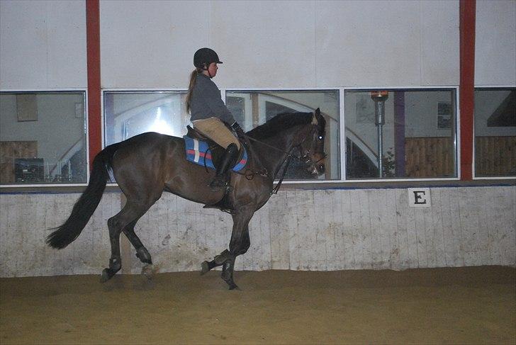 Irsk Hunter Parker Coin billede 9