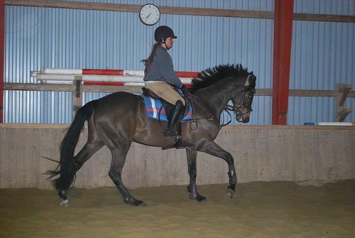 Irsk Hunter Parker Coin billede 10